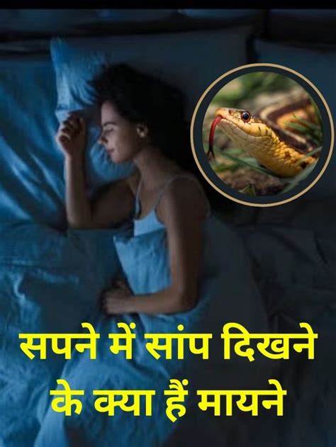 Snakes In Dreams सपने में सांप दिखने का मतलब क्या इस सर्प का दिखना