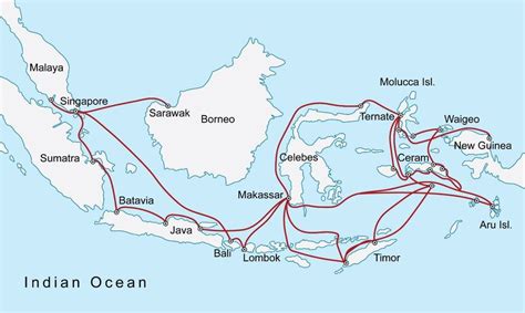 darwins beagle voyage top courtesy  wikimedia  wallaces