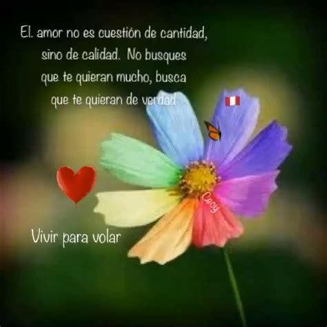 Pin En Frases Te Quiero De Verdad Frases Positivas De Motivacion