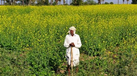 Govt Raises Agriculture Budget For Farmers Welfare Haryana Governor