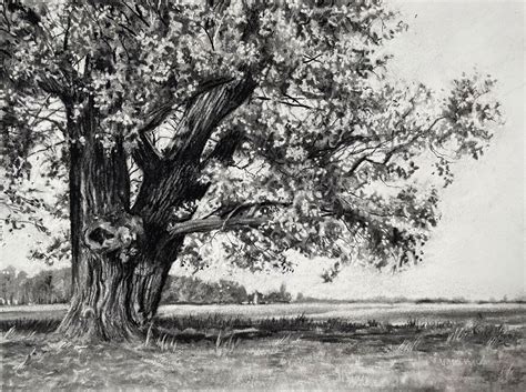 Charcoal Drawing Course – Landscape