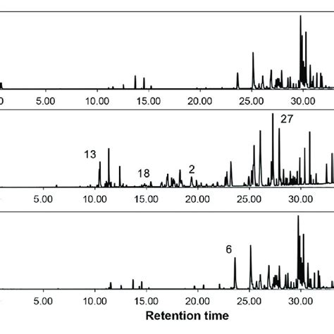 Total Ion Chromatograms Of Different Parts Of G Uralensis Obtained