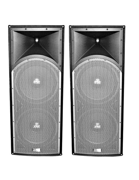 2 Absolute Pros212 Dual 12 Speaker Professional Series Dual 12 3 Way