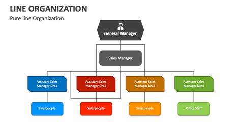 Line Organization PowerPoint and Google Slides Template - PPT Slides