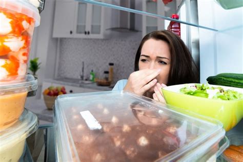 O Que Fazer Depois De Comer Comida Mofada - Descubra o que acontece se você comer comida mofada