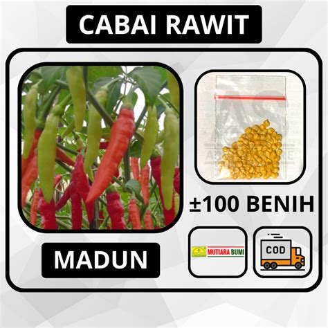 Jual Butir Benih Cabai Rawit Merunduk Madun Cap Mutiara Bumi Cabe