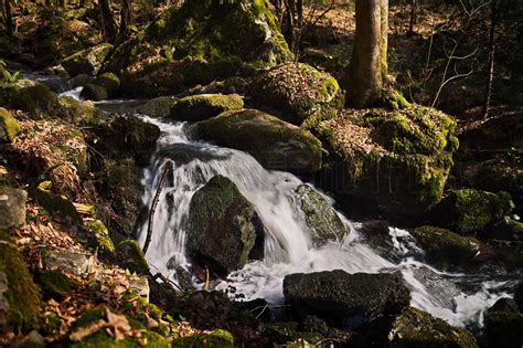 Steinbachklamm Bei Marbach A D Donau Wanderung Alpenvereinaktiv