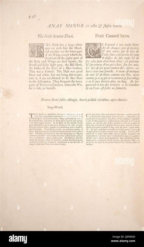 La Historia Natural De Carolina Florida Y Las Islas Bahama P