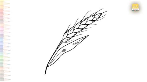 Wheat Crop Drawings Cereal Grain Drawing How To Draw Wheat Crop