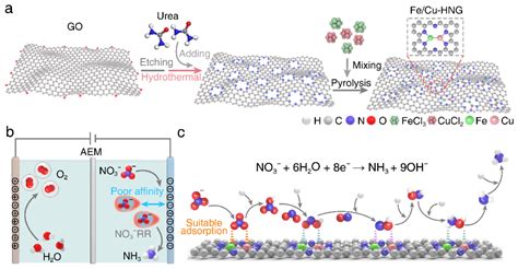 科学家开发铁 铜双原子还原硝酸盐合成氨催化剂论文科学网