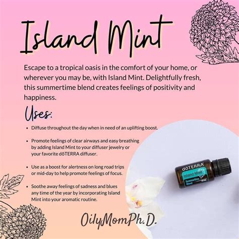 Doterra Island Mint Monday Bogo Doterra Mint Island