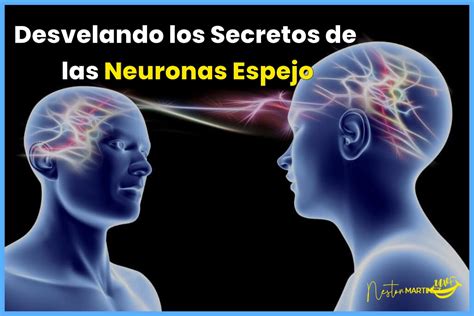 Descubre El Fascinante Poder De Las Neuronas Espejo UVF