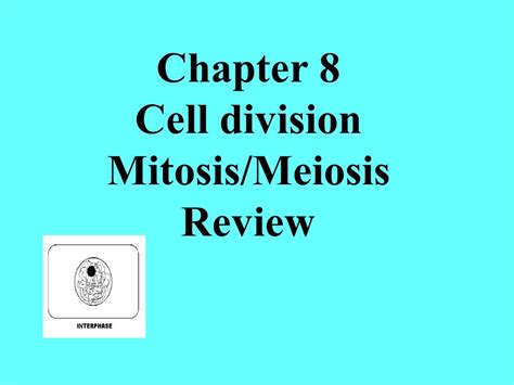 Ppt Cell Division Mitosis And Meiosis Powerpoint Off