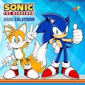 Buy Sonic The Hedgehog Wall Calendar Book Online At Low Prices In