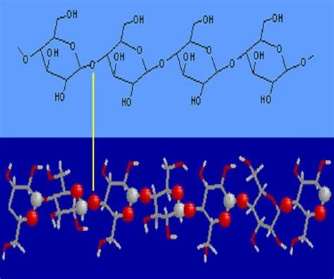 Molecular structure of cellulose. | Download Scientific Diagram