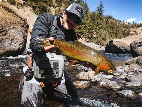 Cheesman Canyon - South Platte River | Jack Shirk Fly Fishing