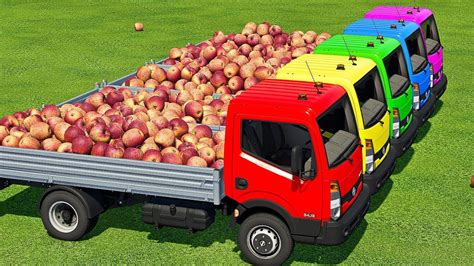 Transport Load Apples With Wheel Loaders Nissan Cabstar Trucks