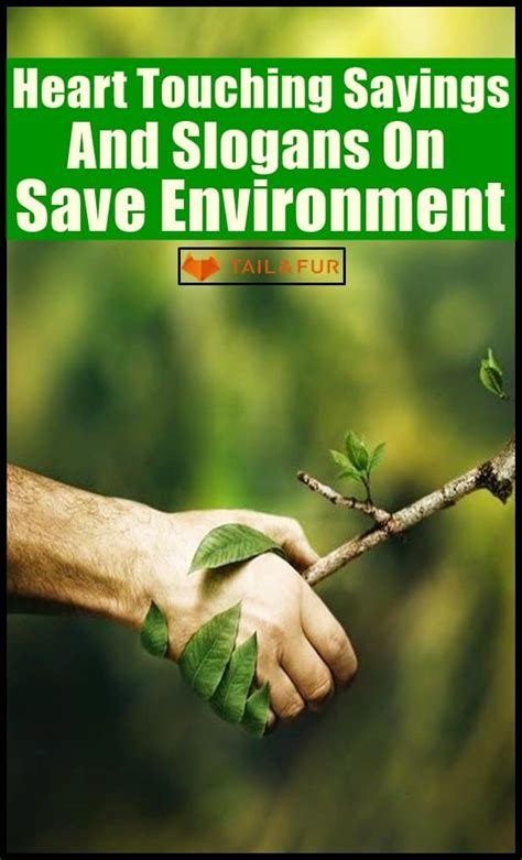 Heart Touching Sayings And Slogans On Save Environment