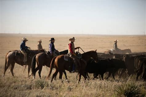 Rustlin Cattle Yellowstone Season 4 Episode 8 Tv Fanatic