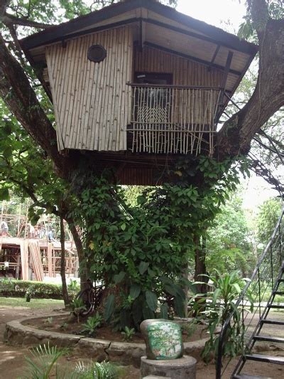 Filepaso Treehouse1 Philippines