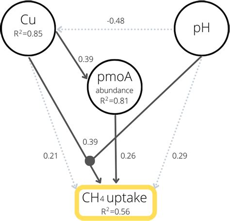 structural equation model sem showing  relationships