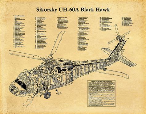 UH-60A Black Hawk Helicopter Print, Sikorsky UH-60A Helicopter ...