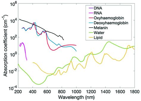 Absorption coefficient spectra µa of endogenous tissue chromophores