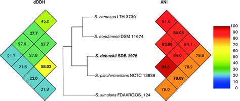 Pairwise Comparisons Of Average Nucleotide Identity Ani And Digital Download Scientific