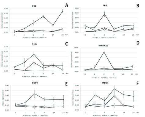 Relative Gene Expression Analysis Using Real Time Pcr Of The Genes A