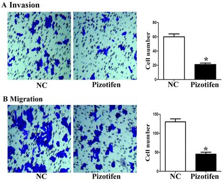 Pizotifen Inhibits The Proliferation And Migration Of Colon Cancer