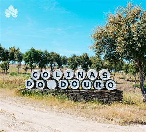 Colinas Do Douro Sociedade Agr Cola Popular Wine Tasting Winetourism