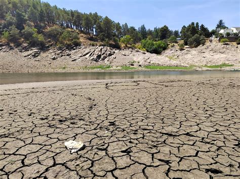 Tocada Pero No Hundida La Agricultura Ecológica Sale A Flote De La