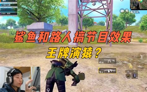 《难道这就是王牌演猿？鲨鱼和路人配合搞节目效果》 鲨雕哟sdy 鲨雕哟sdy 哔哩哔哩视频