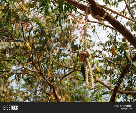 Rope Hanging Tree Image And Photo Free Trial Bigstock