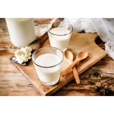 Jual Kefir Susu Kambing Probiotik Organic Dari Susu Kambing Murni