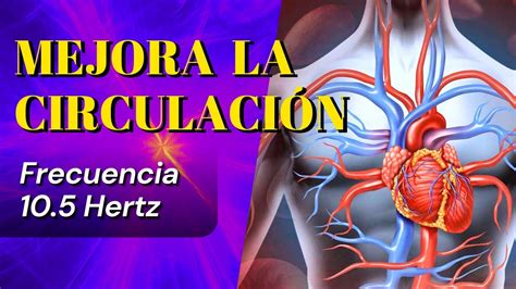 Mejora Tu Circulaci N Con La Frecuencia Binaural De Hz