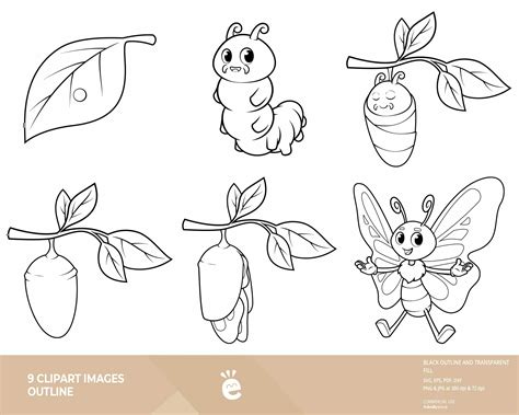 Caterpillar To Butterfly Metamorphosis Clipart Graphics Bundle