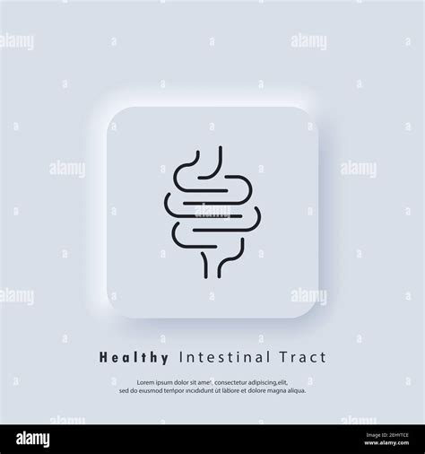 Healthy Digestive Tract Icon Intestinal Inflammation Icon Abdominal