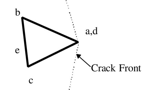 definition  tip elements  scientific diagram