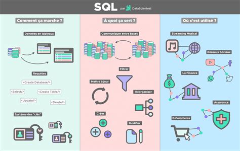 Sql Tout Savoir Sur Le Langage Des Bases De Donn Es