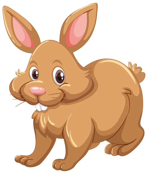 Brown Rabbit On White Background 293096 Vector Art At Vecteezy