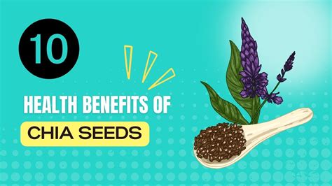 Top 10 Amazing Health Benefits Of Chia Seeds You Didnt Know Youtube