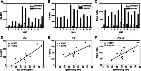 Hypoxia Induces Igm Mediated Complement Activation Normoxic Open