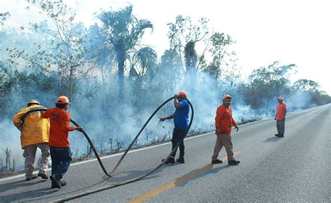 Incendios Provocados Devastan Amplias Zonas De Selva En El Estado