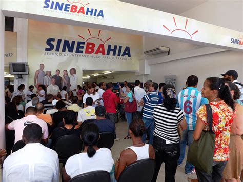 Sinebahia Divulga Vagas De Emprego Para Salvador E Interior Da Bahia