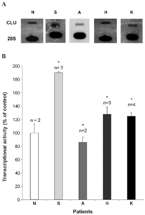 CLU Gene Transcriptional Activity In The Endometrial Tissues A The