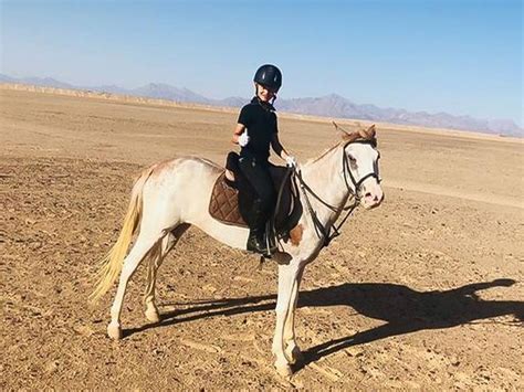 Desert Horse Riding in Jeddah | Best Jeddah Desert Safari Tours