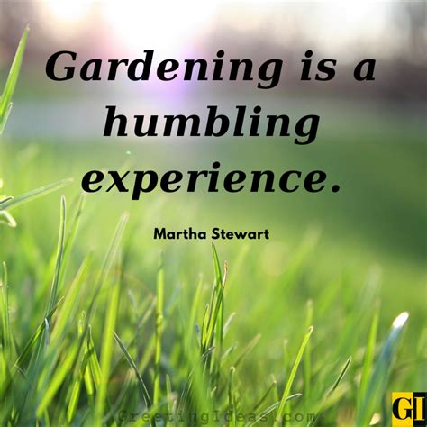 Inspiring Landscaping Quotes For Creative Gardening