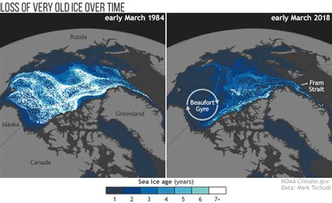 Old Sea Ice Continues Disappearing From The Arctic Ocean Noaa