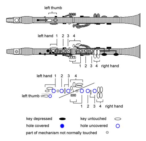 Clarinet Diagram Of Keys